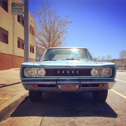 11158164_10152735412437201_778394450_n