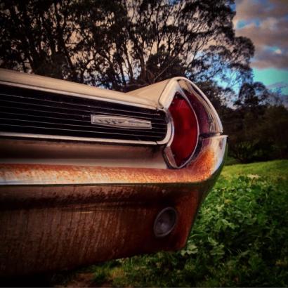 11414665_10152876411242201_1754529443_n