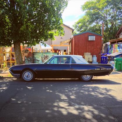 11830178_10152970839432201_804884135_n