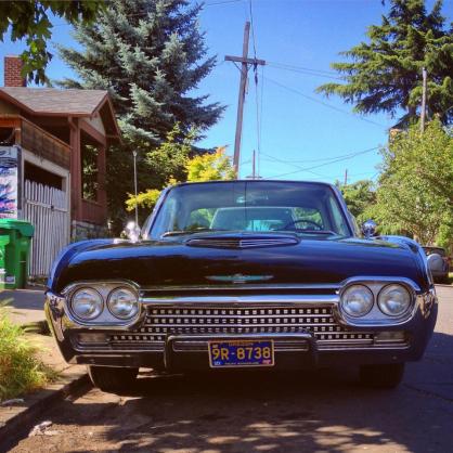 11850912_10152970839402201_19200296_n