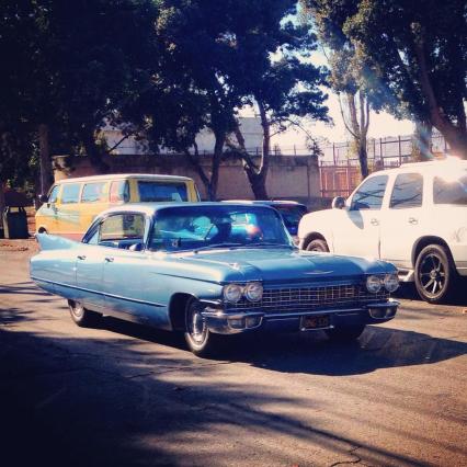 12231346_10153135151532201_1082485772_n