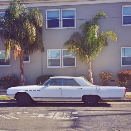 12242244_10153145153132201_2127920083_n