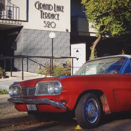 12325064_10153168671552201_267632379_n