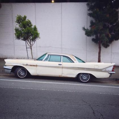 12366640_10153190214917201_1545318438_n