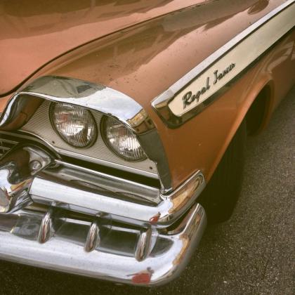 12666472_10153279336202201_1495977795_n