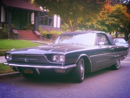 24550049970_fec73c3f3b_z