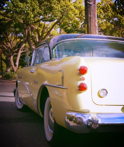 24694079431_2a981171a0_k