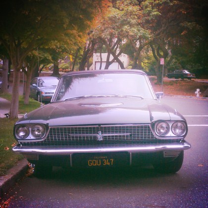 24752215771_fe827987c7_z