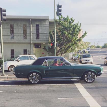 14440609_10153790140742201_4940652216234324938_n