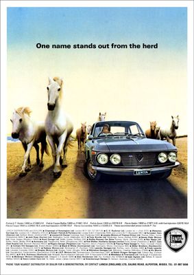 08394d45917727b7ed4bc6a1def22207-poster-prints-s